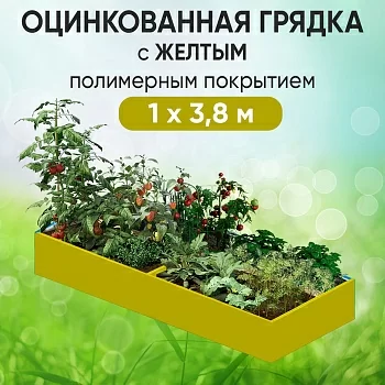 Грядка желтая (1 х 3,8)